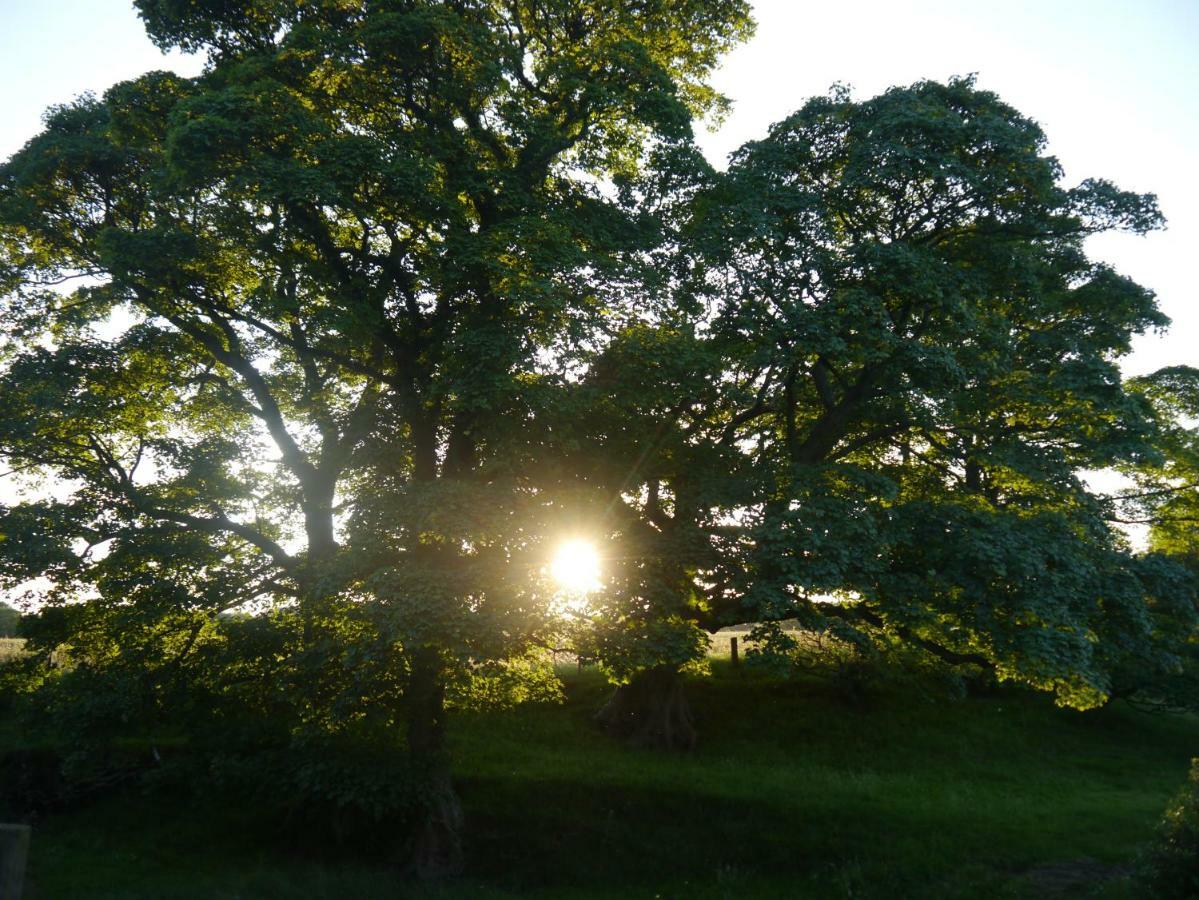 Riding Farm Cottages Gateshead Exteriér fotografie