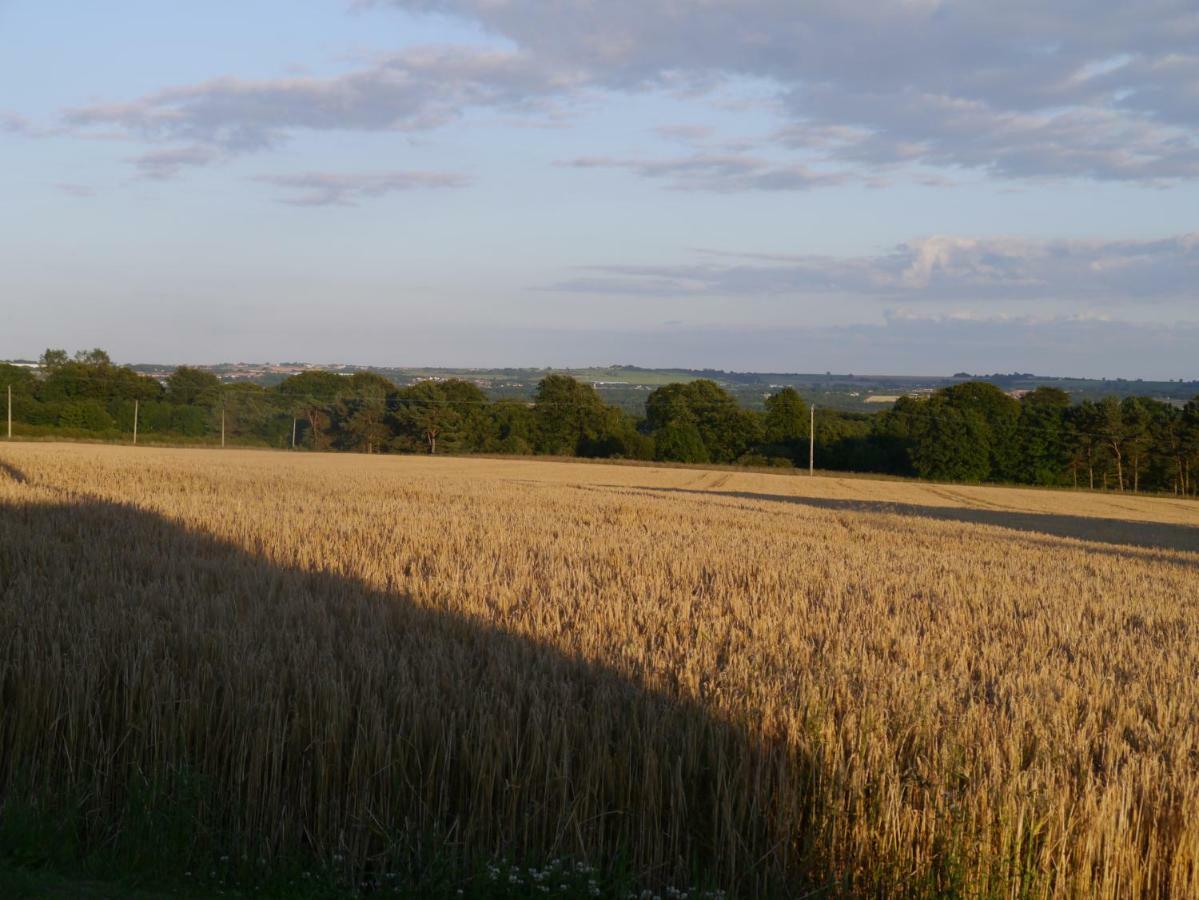 Riding Farm Cottages Gateshead Exteriér fotografie