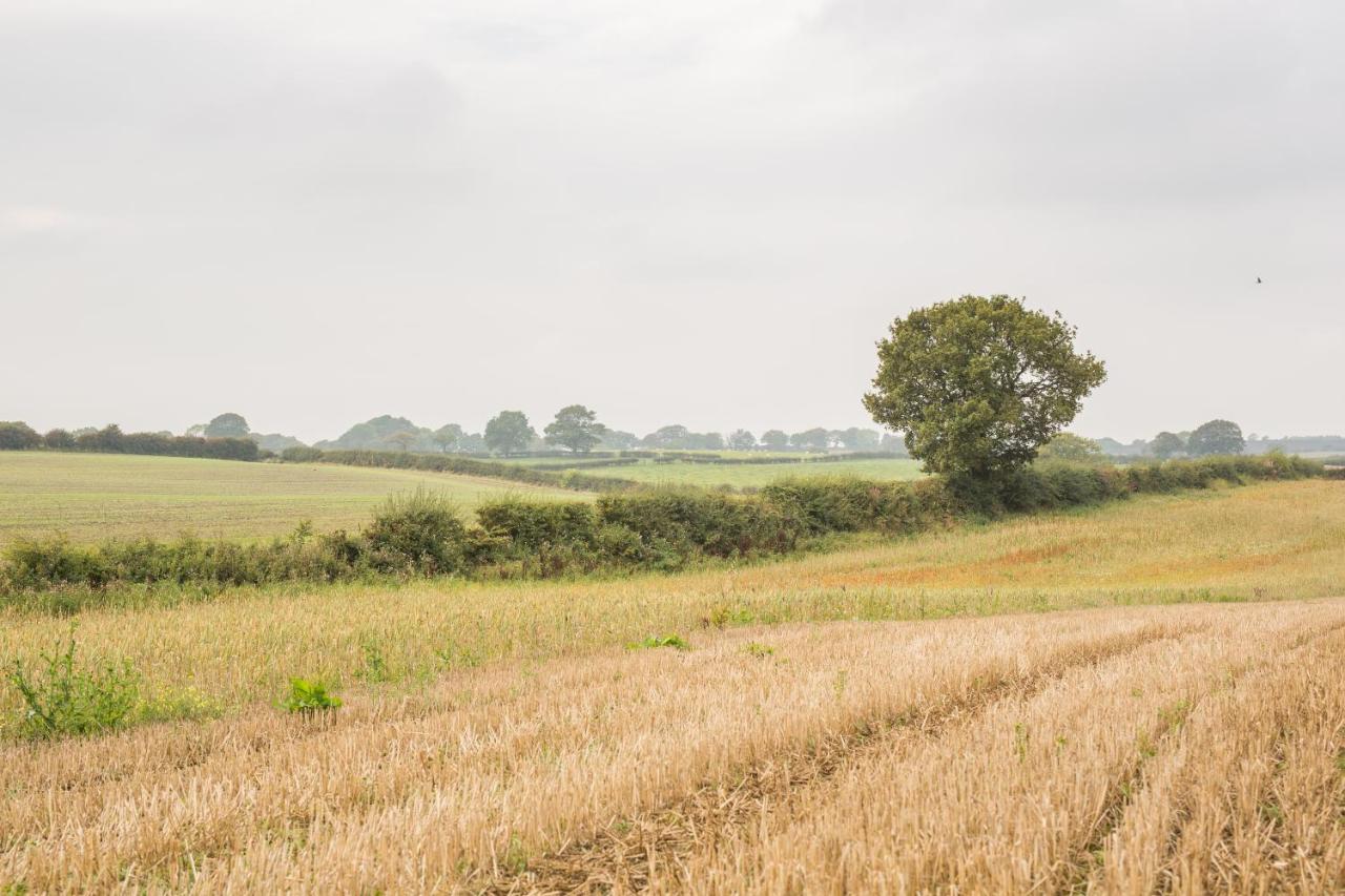 Riding Farm Cottages Gateshead Exteriér fotografie